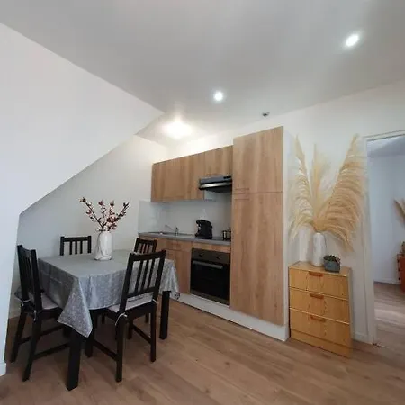 Jungle Apartment