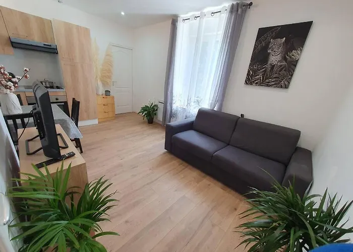 Appartamento Jungle *